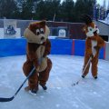 Ice Rink